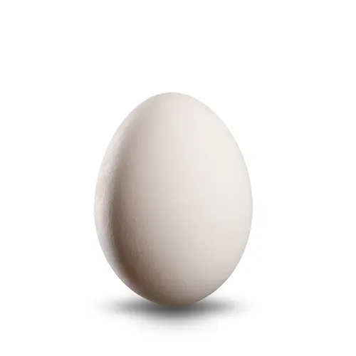 Organic Eggs
