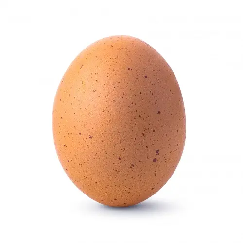 Brown Eggs